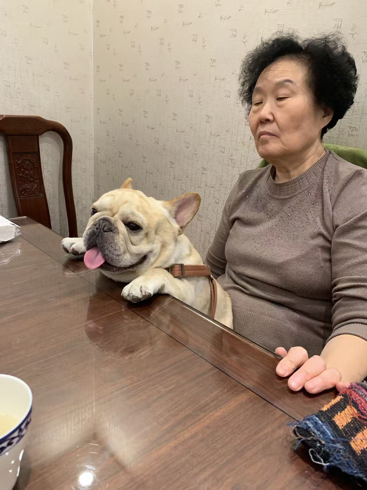 豆豆的生活细节